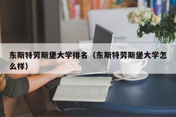 东斯特劳斯堡大学排名（东斯特劳斯堡大学怎么样）