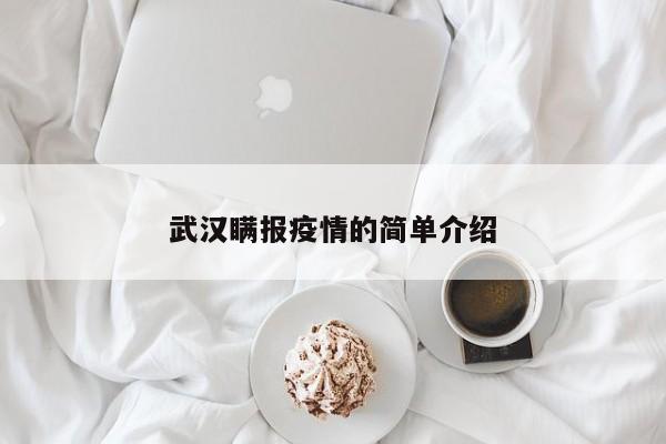 武汉瞒报疫情的简单介绍