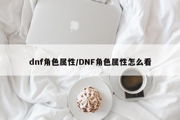 dnf角色属性／DNF角色属性怎么看