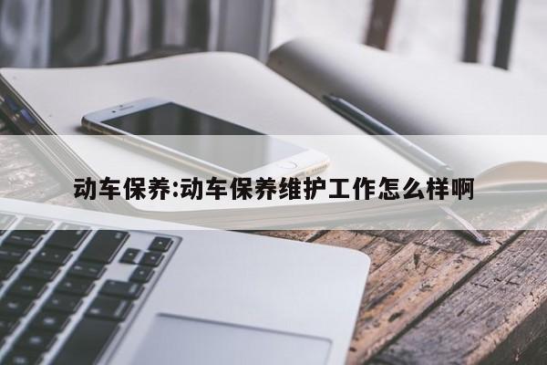 动车保养：动车保养维护工作怎么样啊