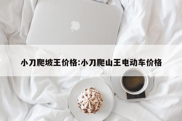 小刀爬坡王价格：小刀爬山王电动车价格