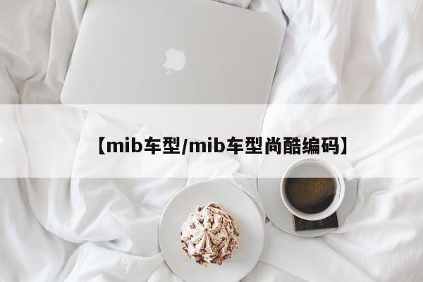 【mib车型／mib车型尚酷编码】