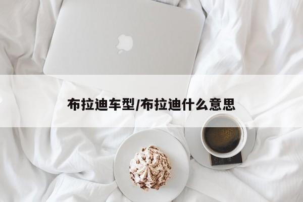 布拉迪车型／布拉迪什么意思